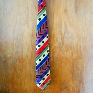 NWT Bracci handpainted silk tie